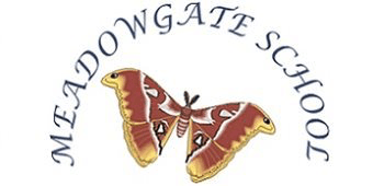The Meadowgate school logo